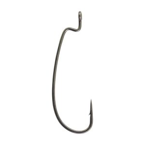 Fusion19™ Offset Worm Hook