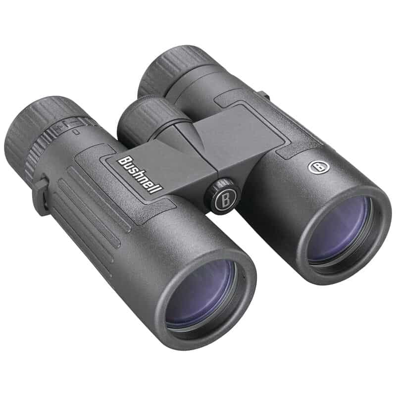 Legend 8x42 Binoculars