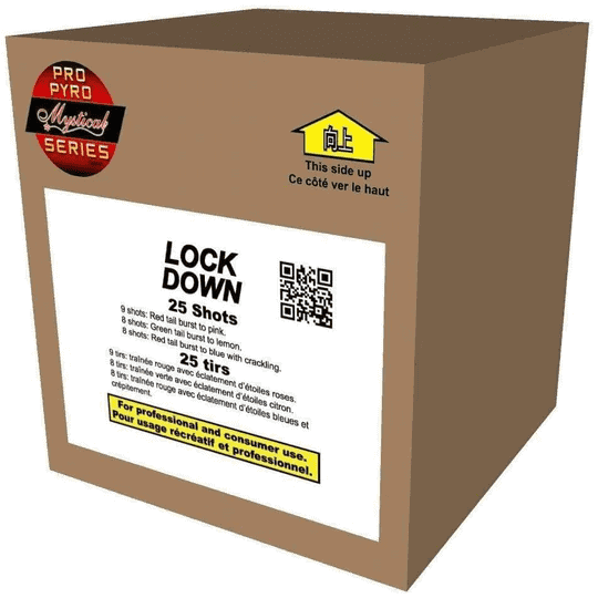 Lockdown Box