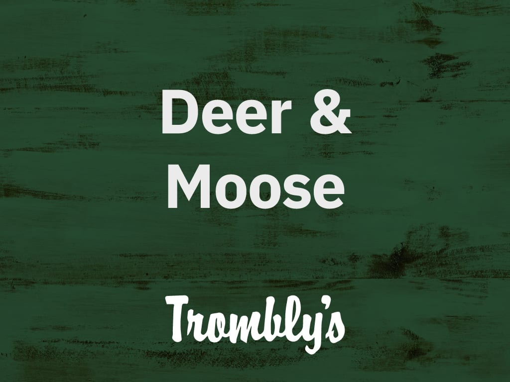 Deer & Moose