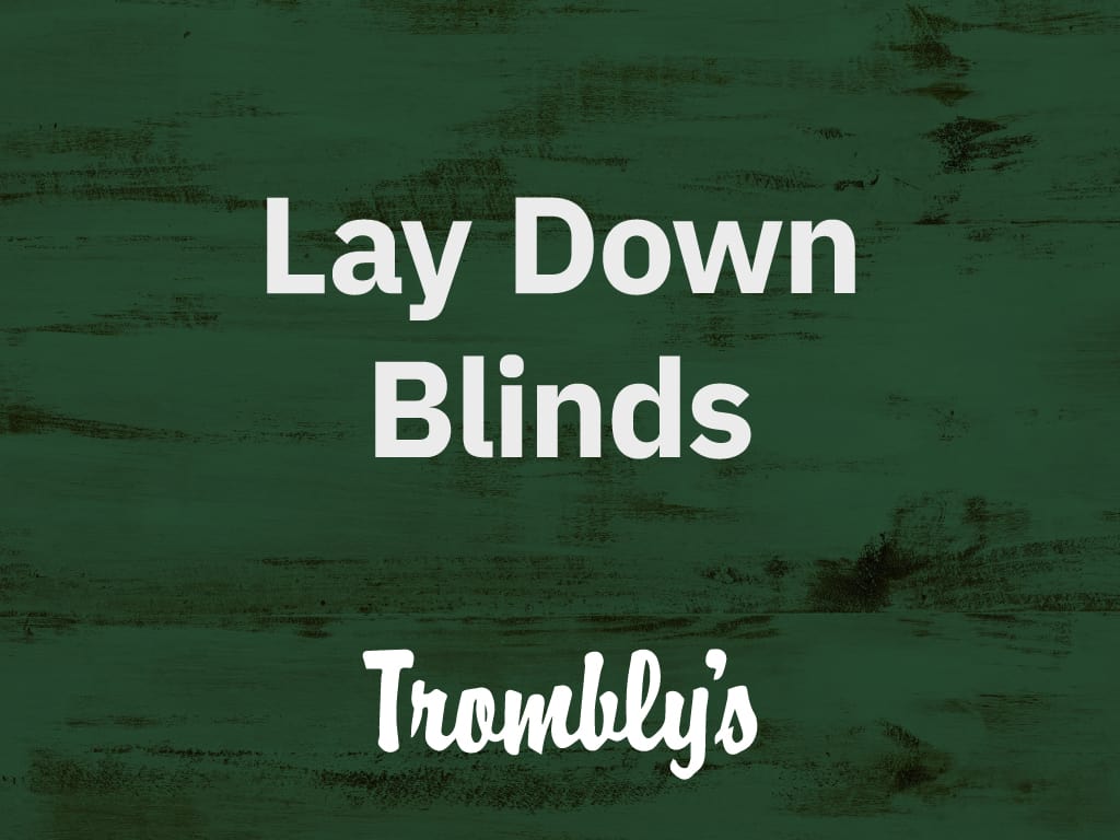 Lay Down Blinds