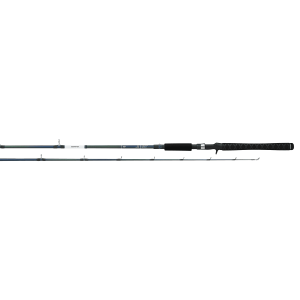 RG Walleye Spinning Rod