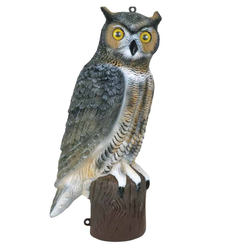 Flambeau 21" Owl