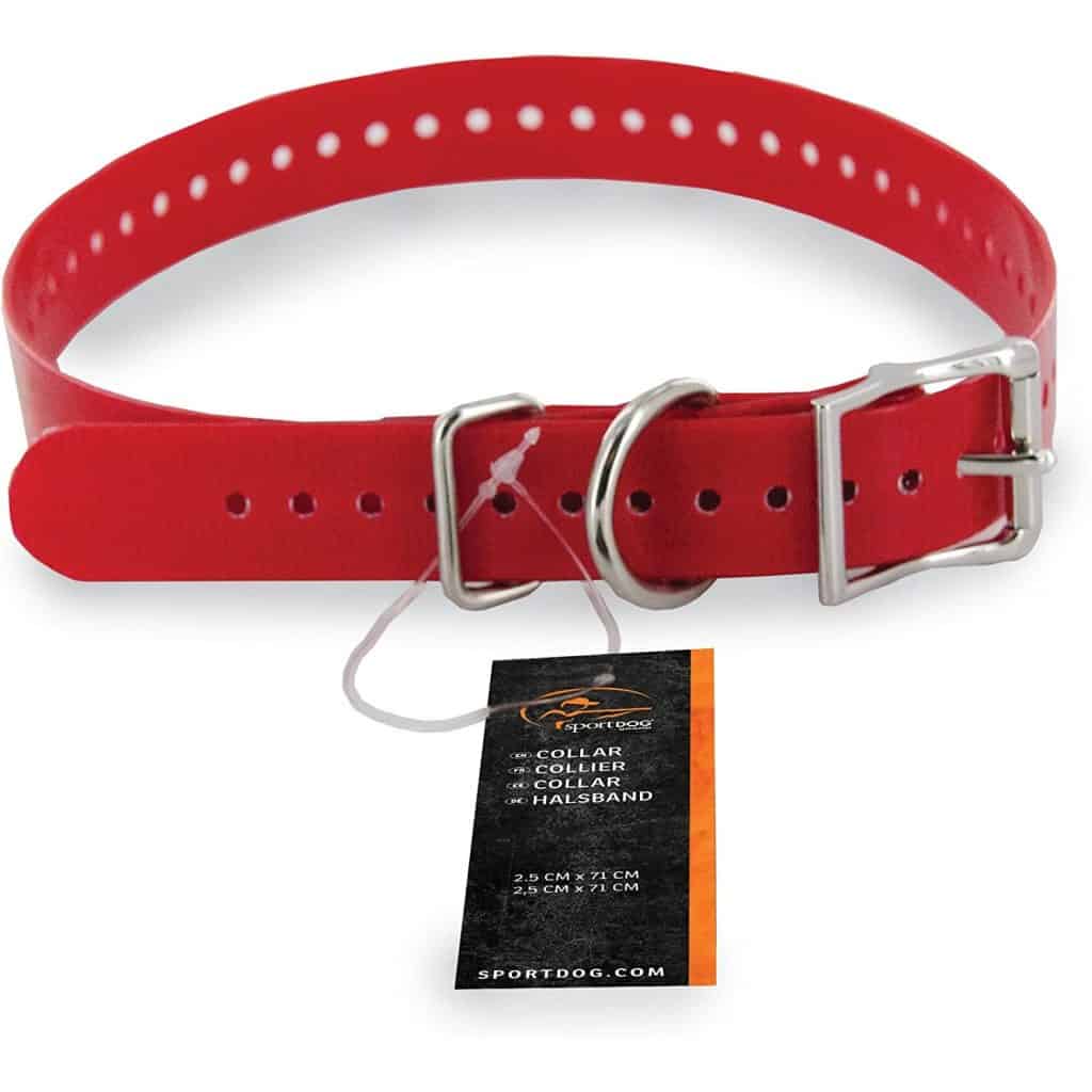 Sport Dog Collar Strap - 2.5cm Red