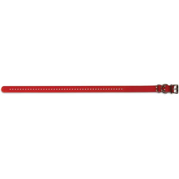 Sportdog Collar Strap - 2.5cm