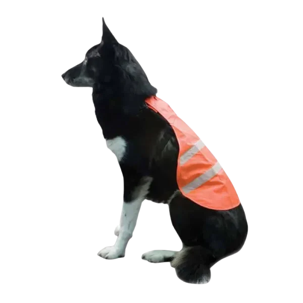 Backwoods Blaze Orange Dog Safety Vest
