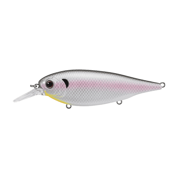 XV-5 Cold Shad