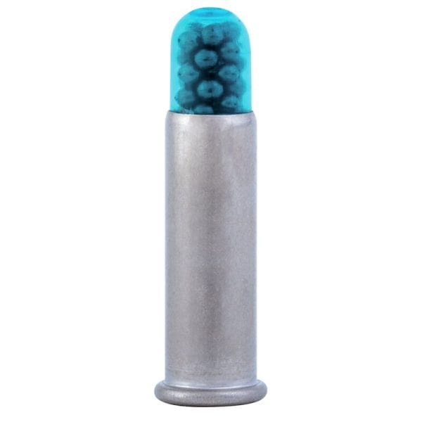 Rimfire Shotshell 22 LR 31 Grain