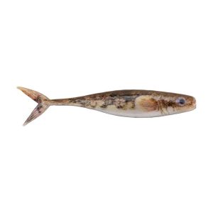 Berkley PowerBait® The Champ Minnow HD Round Goby