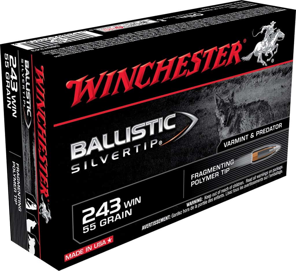 Ballistic Silvertip 243 Winchester