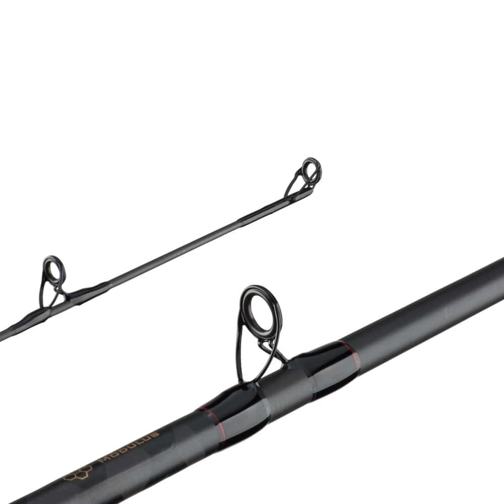 Berkley Berkley® Lightning Rod™ Spinning Rod