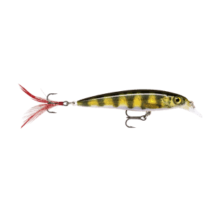 Rapala X-Rap Live Perch