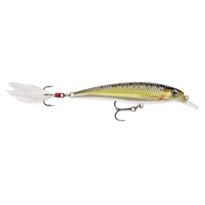 Rapala X-Rap Live Sucker