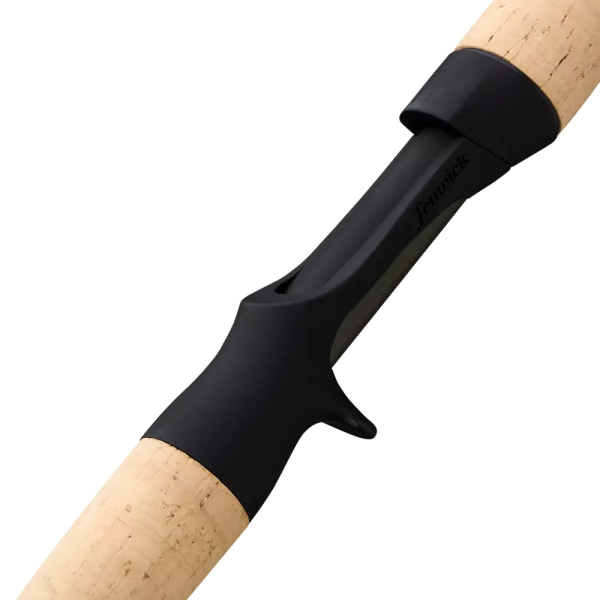 Fenwick Eagle Bass Casting Rod