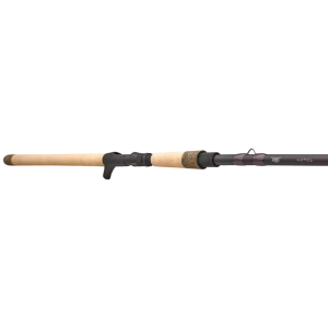 Fenwick HMG Predator Casting Rod