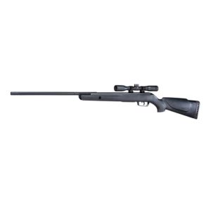 Gamo Wildcat Storm