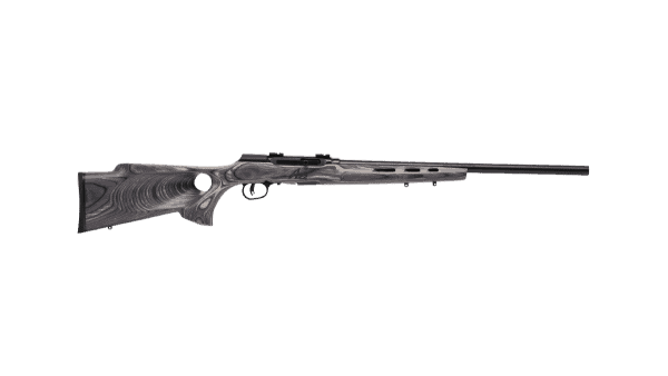 A Series Target Thumbhole - 17 HMR, 22, Grey Savage